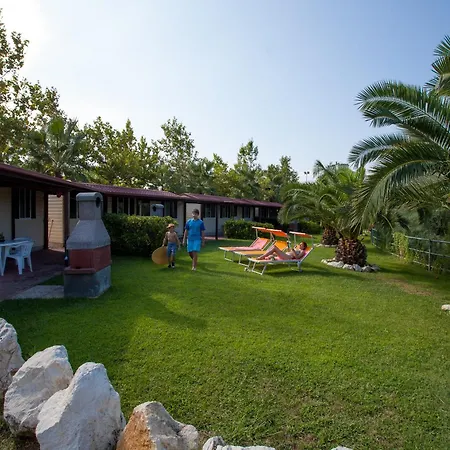 Village Placid